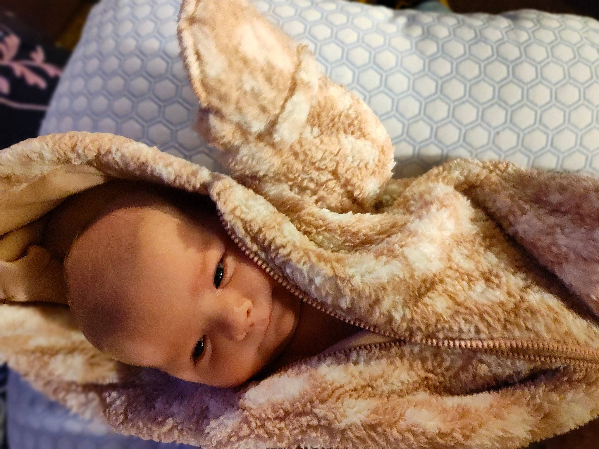 Ruby joined the competition — help win amazing prizes! cap, child, comfort, eye, eyelash, face, fashion_accessory, fawn, fur, fur_clothing, gesture, hand, hat, head, linens, lip, person, skin, textile, wood