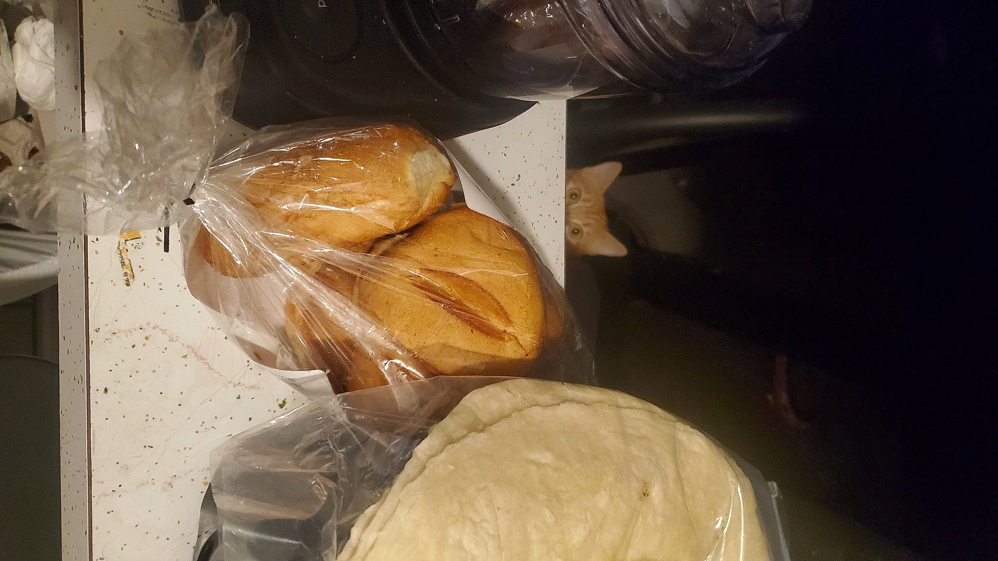 Citrus joined the competition — help win amazing prizes! baked_goods, baking, bread, bread_roll, bun, comfort_food, cooking, cuisine, dish, food, gluten, ingredient, kitchen_appliance, oven_bag, plastic_wrap, potato_bread, produce, recipe, staple_food, whole_wheat_bread