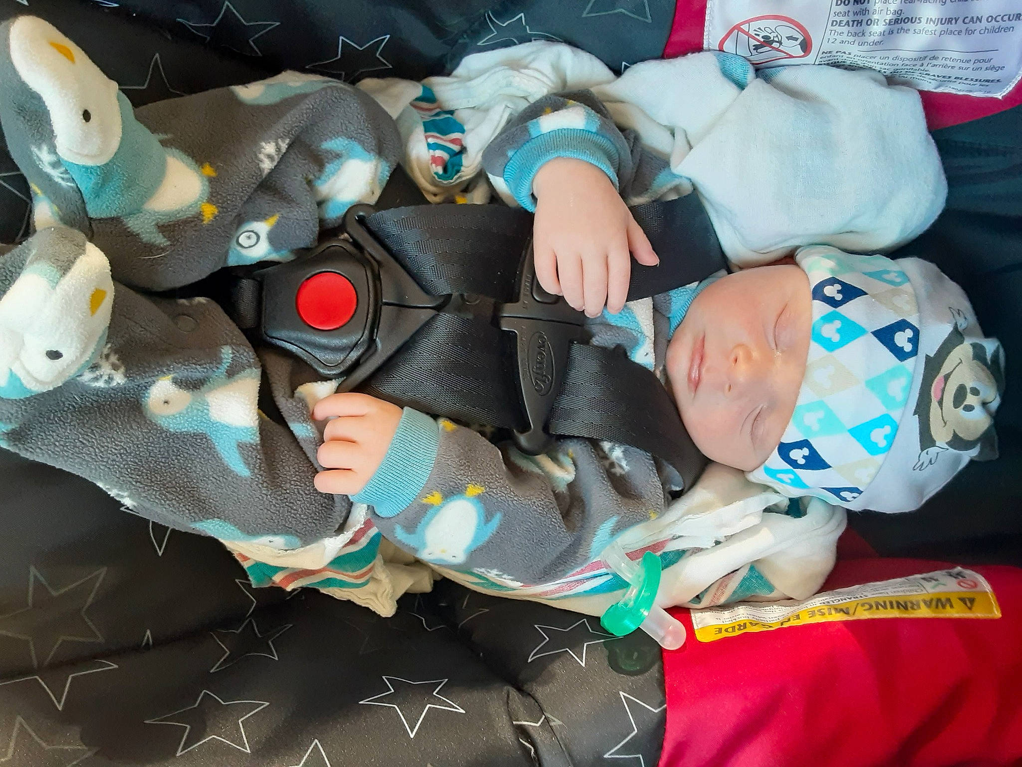 Hunter joined the competition — help win amazing prizes! auto_part, baby, baby_carriage, baby_products, baby_toddler_clothing, car_seat, carmine, child, comfort, electric_blue, fictional_character, headwear, linens, pattern, person, personal_protective_equipment, plastic, room, toddler, tree