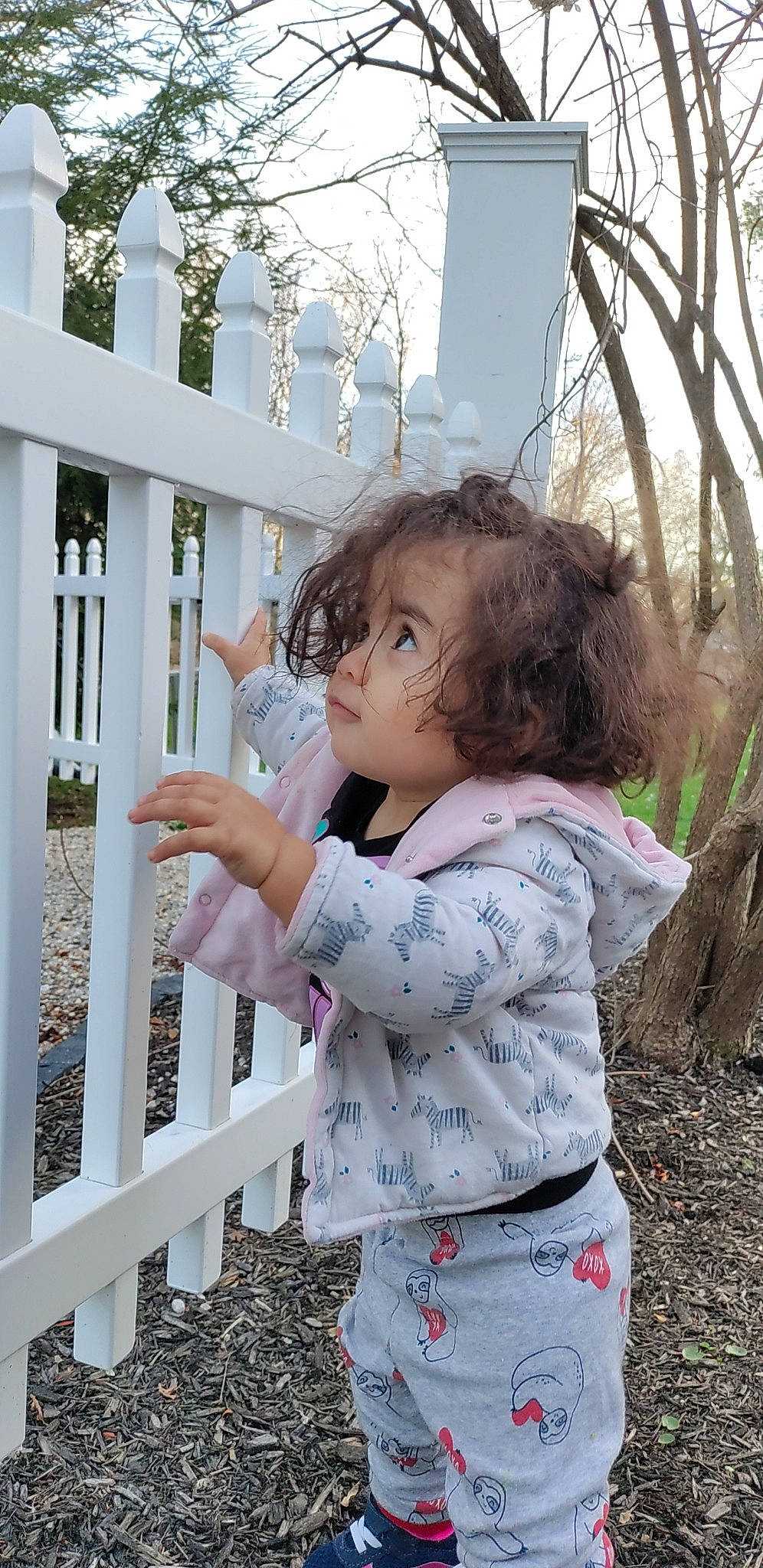 Kairi is registered to the contest to win money with this photo: baby, baby_toddler_clothing, baluster, child, fence, fun, grass, happy, leisure, pattern, people_in_nature, person, plant, sky, sleeve, standing, t_shirt, toddler, tree, twig