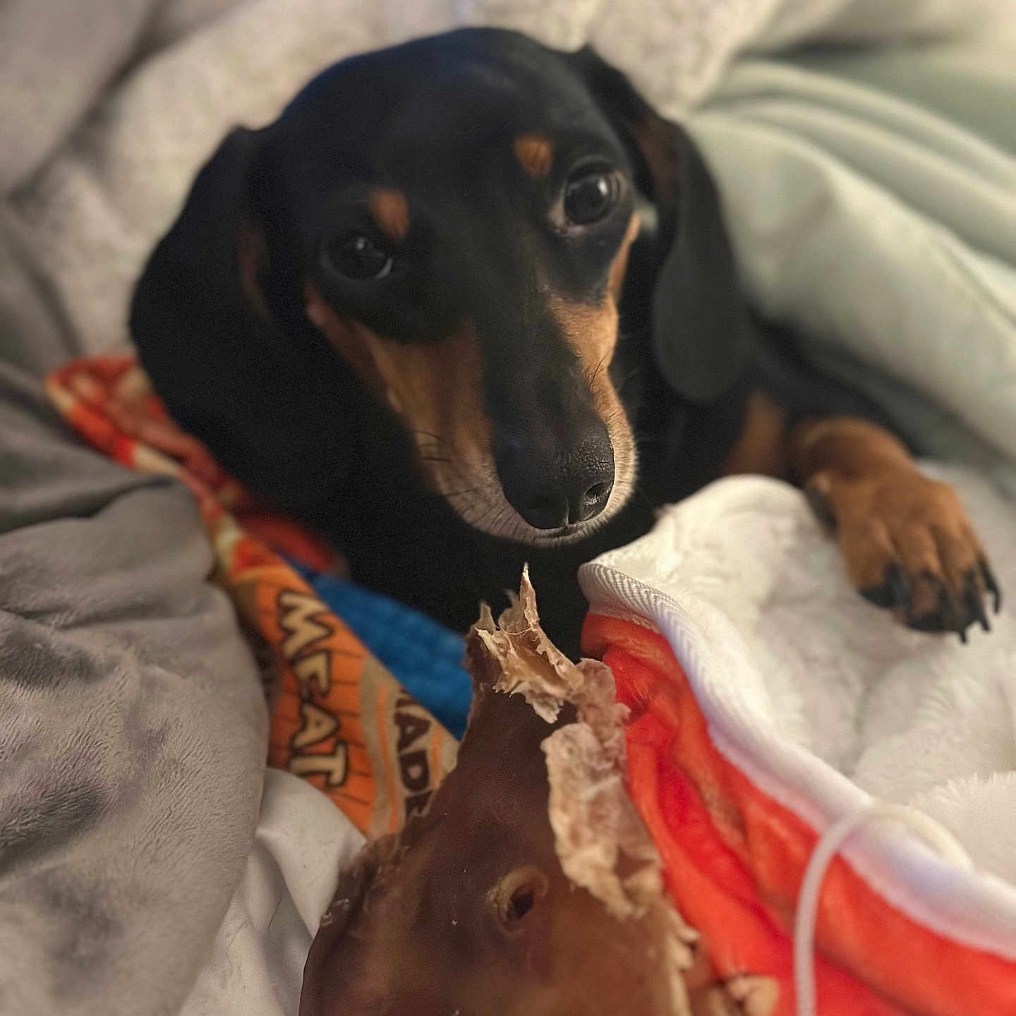 Pennybelle