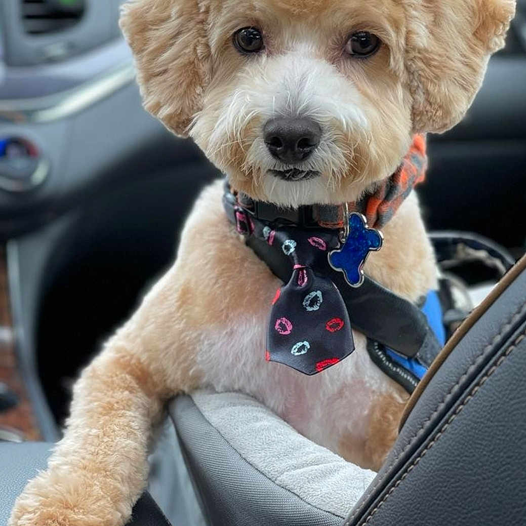 Petey