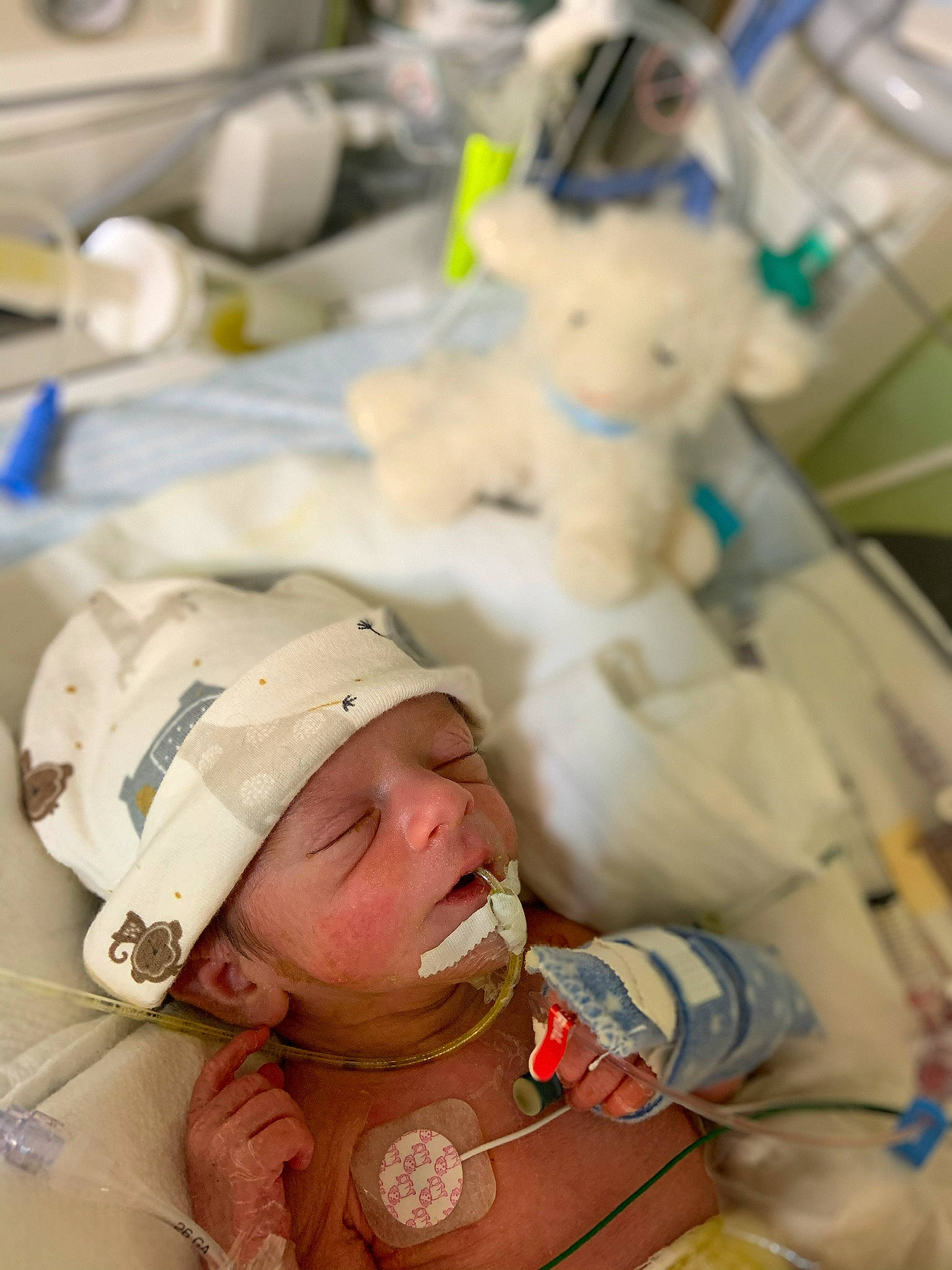 Scott joined the competition — help win amazing prizes! baby, birth, child, childbirth, headwear, hospital, patient, person, toddler