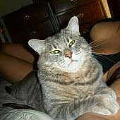 Cage is registered to the contest to win money with this photo: