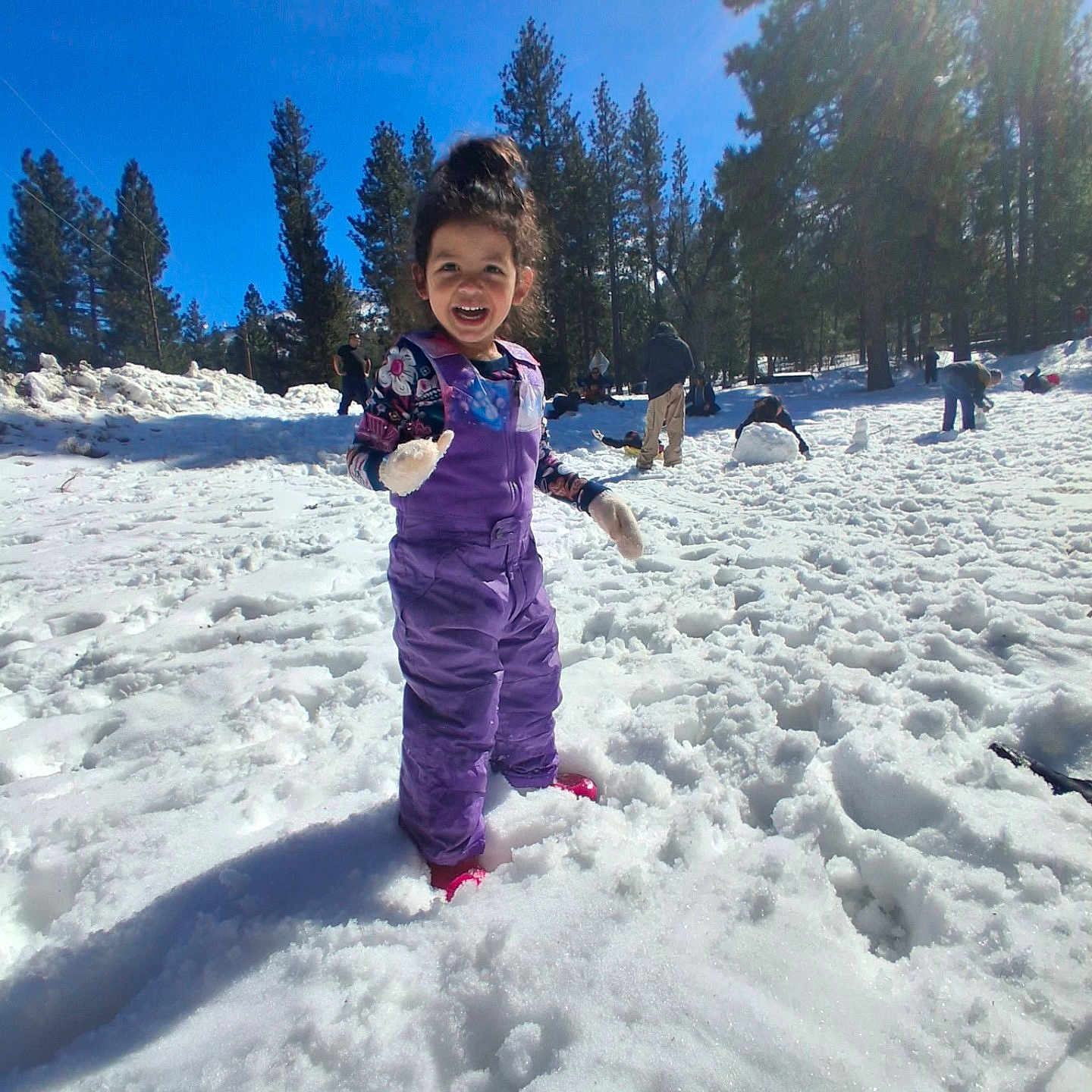 Angelica is registered to the contest to win money with this photo: child, snow, winter_clothing, snowsuit, gloves, outdoor, pine_trees, sunlight, blue_sky, smiling, happy, play, nature, people, daytime, snowy_ground, forest, recreation, cold_weather, fun