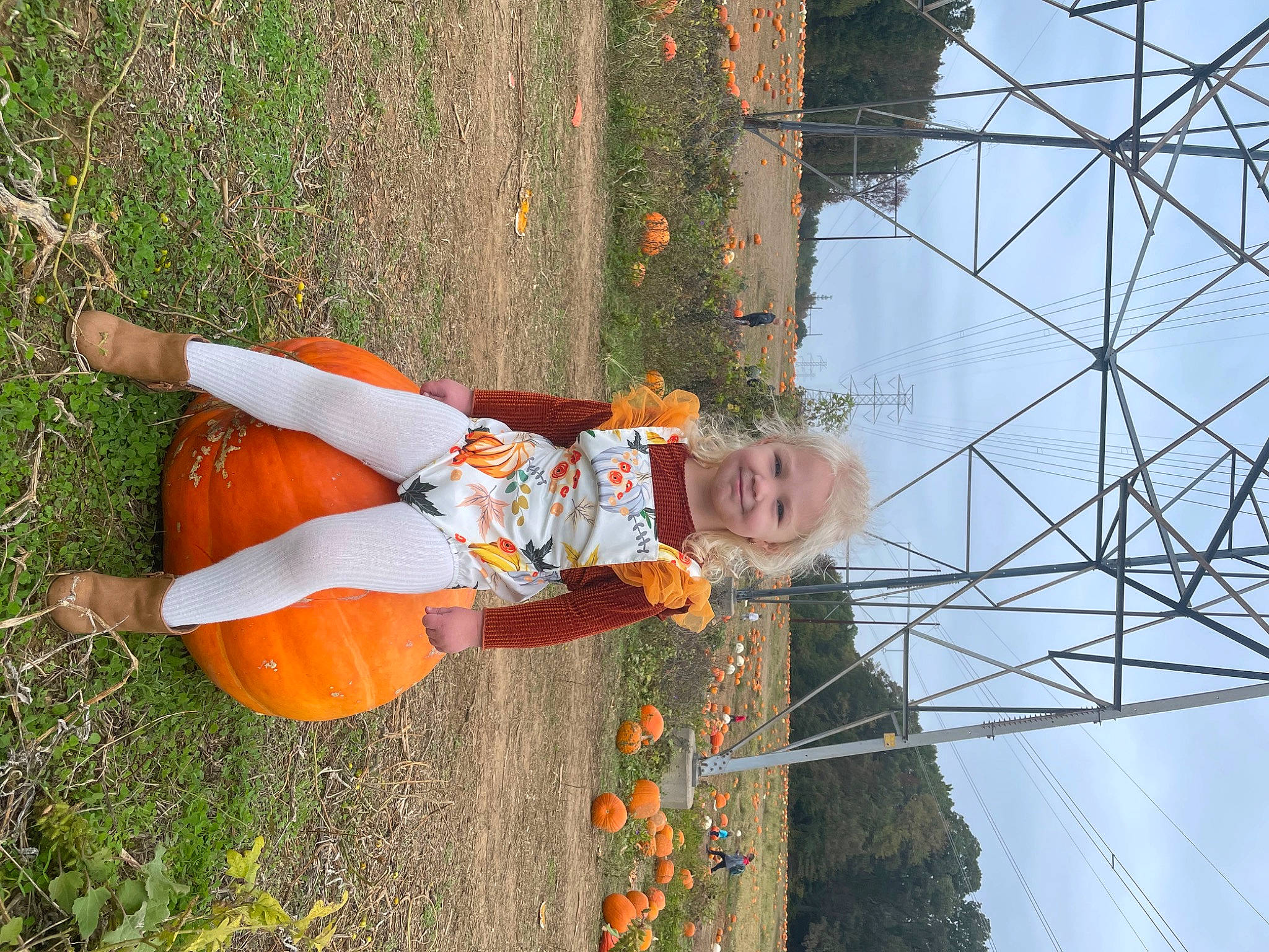 Mckenna is registered to the contest to win money with this photo: electricity, fun, grass, happy, human_leg, joy, leisure, line, organ, overhead_power_line, people_in_nature, person, plant, pole, public_utility, sky, smile, thigh, toddler, tree