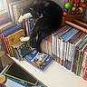 Bingo Et Bounty participe au concours pour gagner de l'argent avec cette photo : cat, books, bookshelf, child, hand, colorful, toy, wooden_toy, puzzle_toy, paw, black_and_white_cat, window, curtain, indoor, sitting, resting, reading_material, paper, notebook, bracelet
