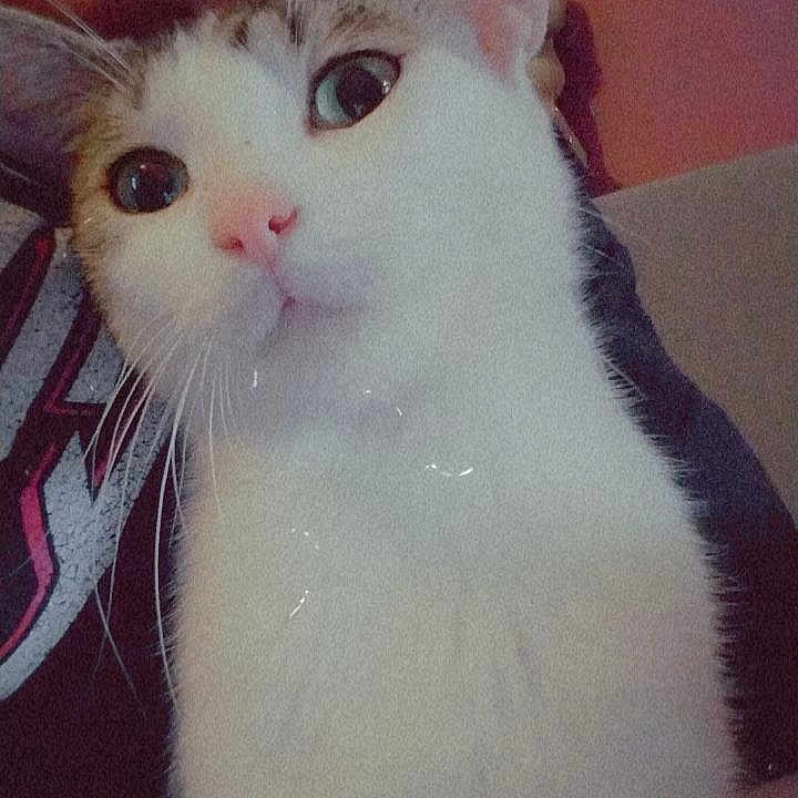 évi