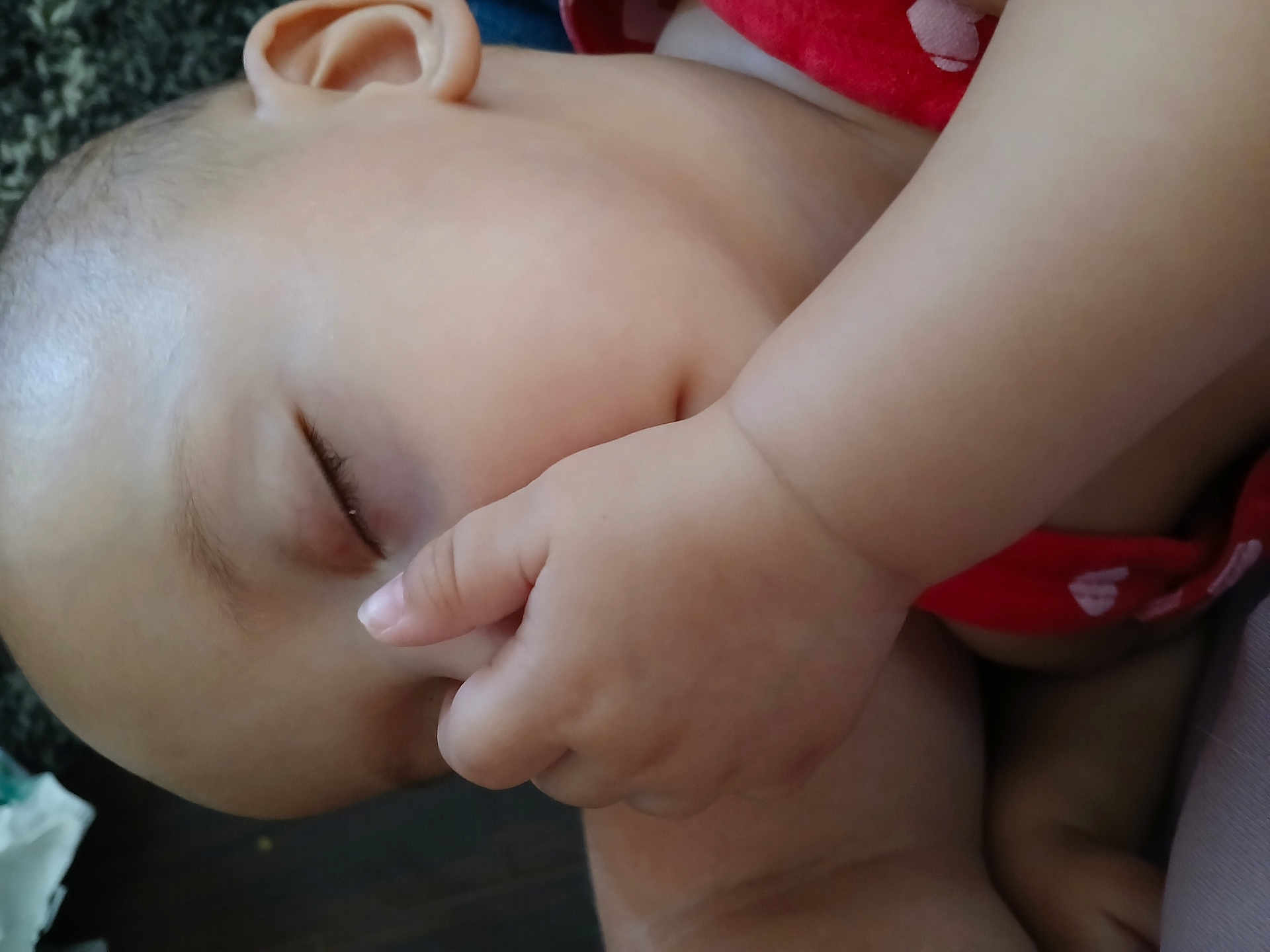 Evalynn
