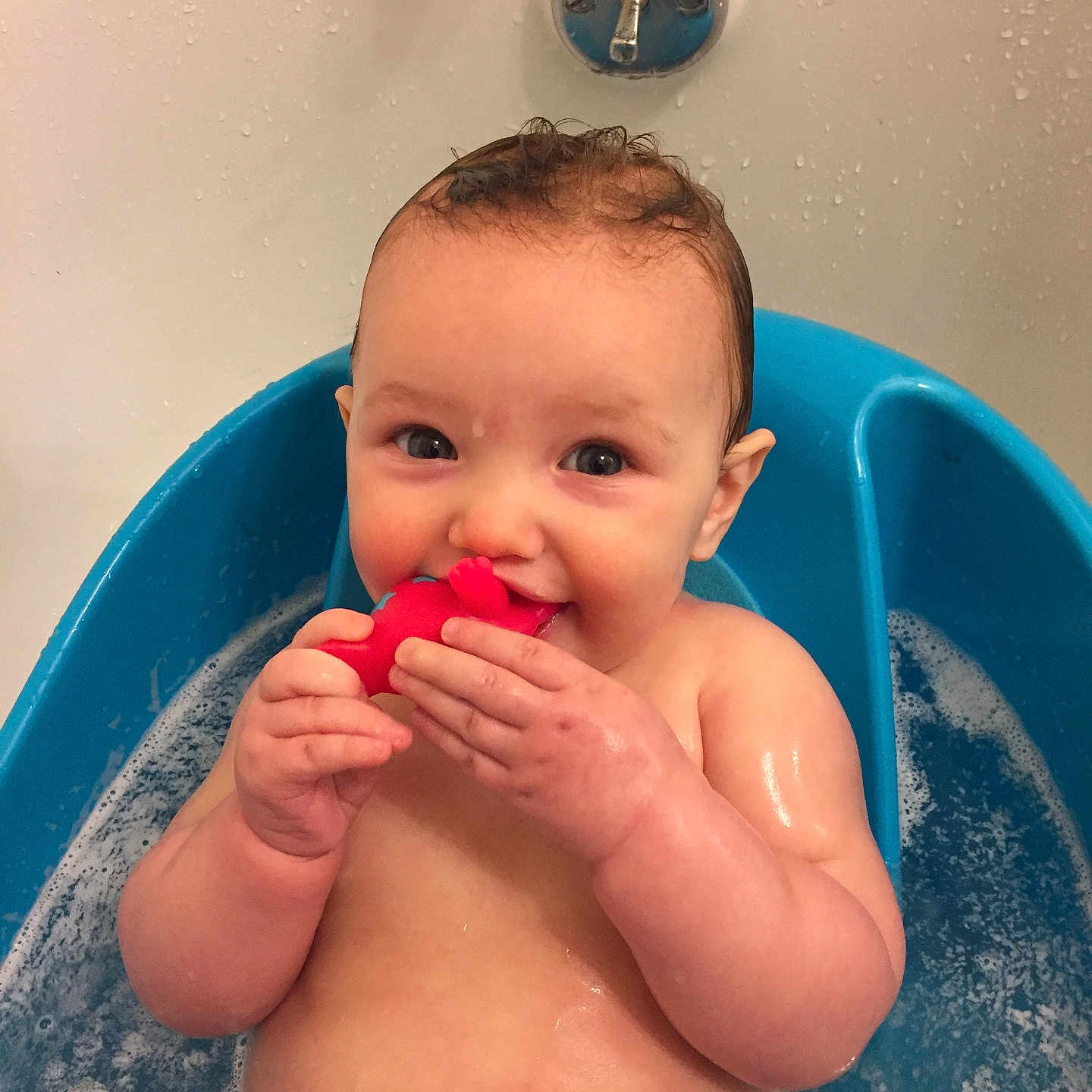 Campbell is registered to the contest to win money with this photo: bathing, blue, cheek, child, finger, fun, hand, infant, lip, mouth, skin, toddler