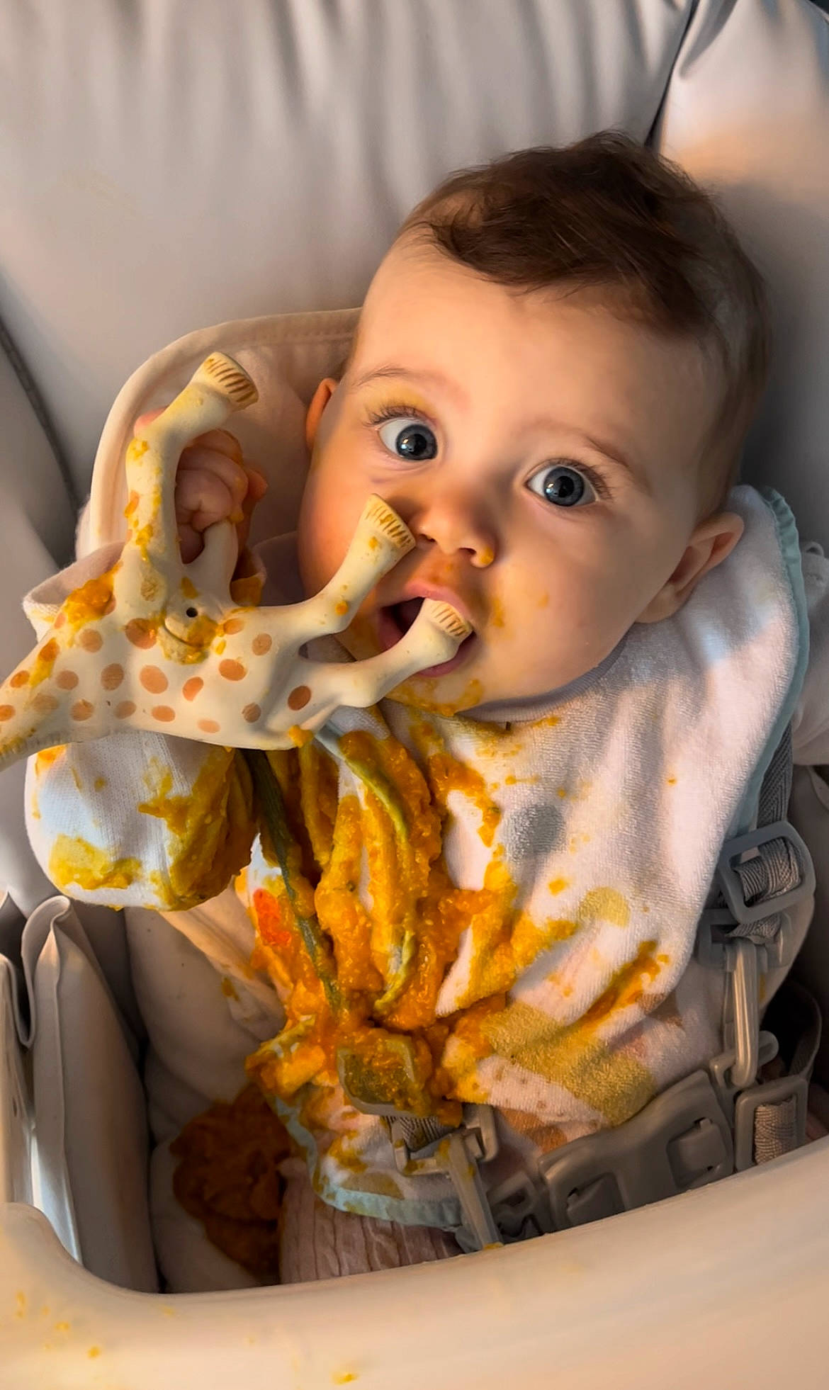 Emy a rejoint le concours — aidez-le/la à gagner de superbes lots ! baby, baby_products, baby_toddler_clothing, bib, cheek, child, comfort, comfort_food, drinkware, eating, food_craving, happy, iris, junk_food, linens, lip, nose, person, sitting, sweetness