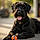 Hilde