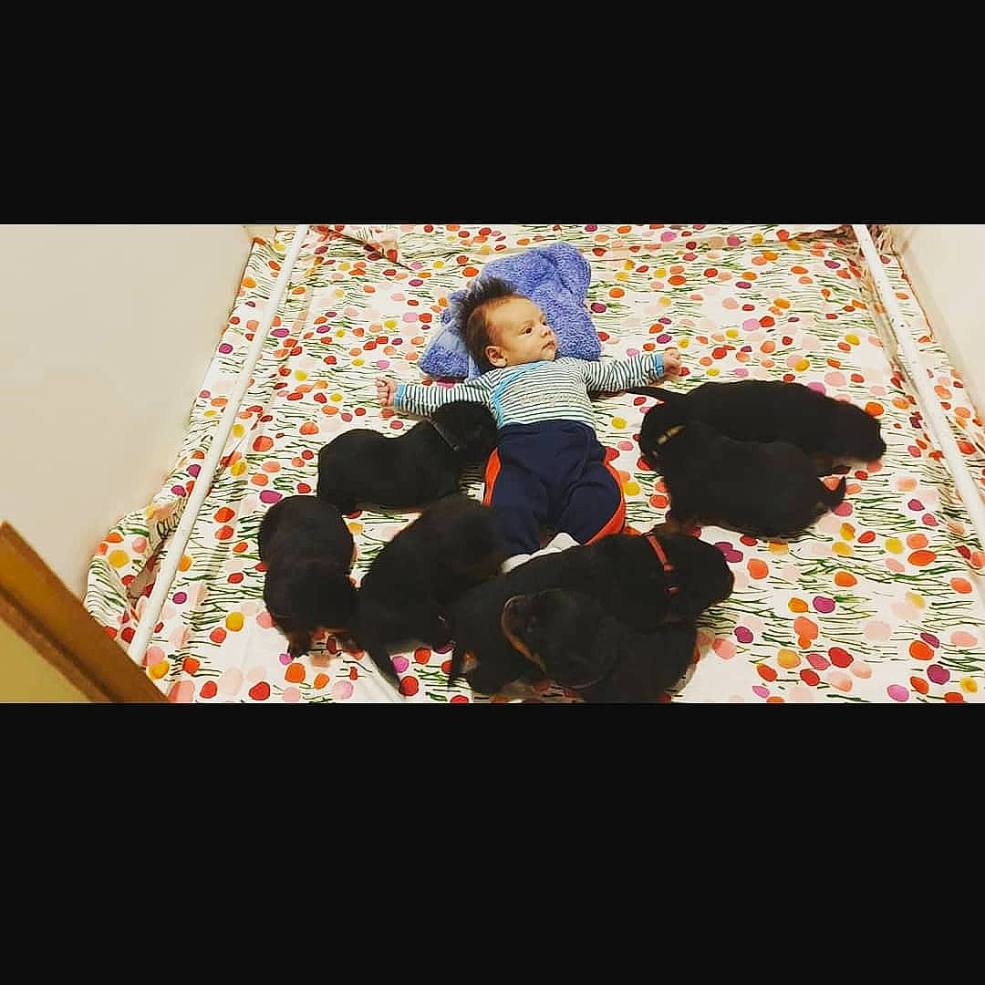 Mattew a rejoint le concours — aidez-le/la à gagner de superbes lots ! art, carmine, darkness, entertainment, event, flooring, font, graphic_design, graphics, magenta, pattern, person, rectangle, room, shadow, sitting, t_shirt, textile, tints_and_shades, toddler