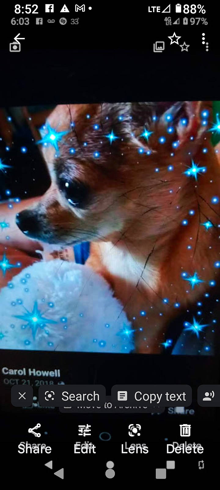 Bubba joined the competition — help win amazing prizes! carnivore, communication_device, companion_dog, display_device, dog, dog_breed, electric_blue, electronic_device, event, fawn, flat_panel_display, fur, gadget, photo_caption, portable_communications_device, screenshot, snout, technology, whiskers, winter