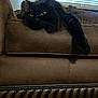 cat, black_cat, fluffy, feline, pet, indoor, couch, leather_couch, armrest, window_blinds, relaxed, yellow_eyes, fur, domestic_animal, resting, home, living_room, animal, cute, cozy