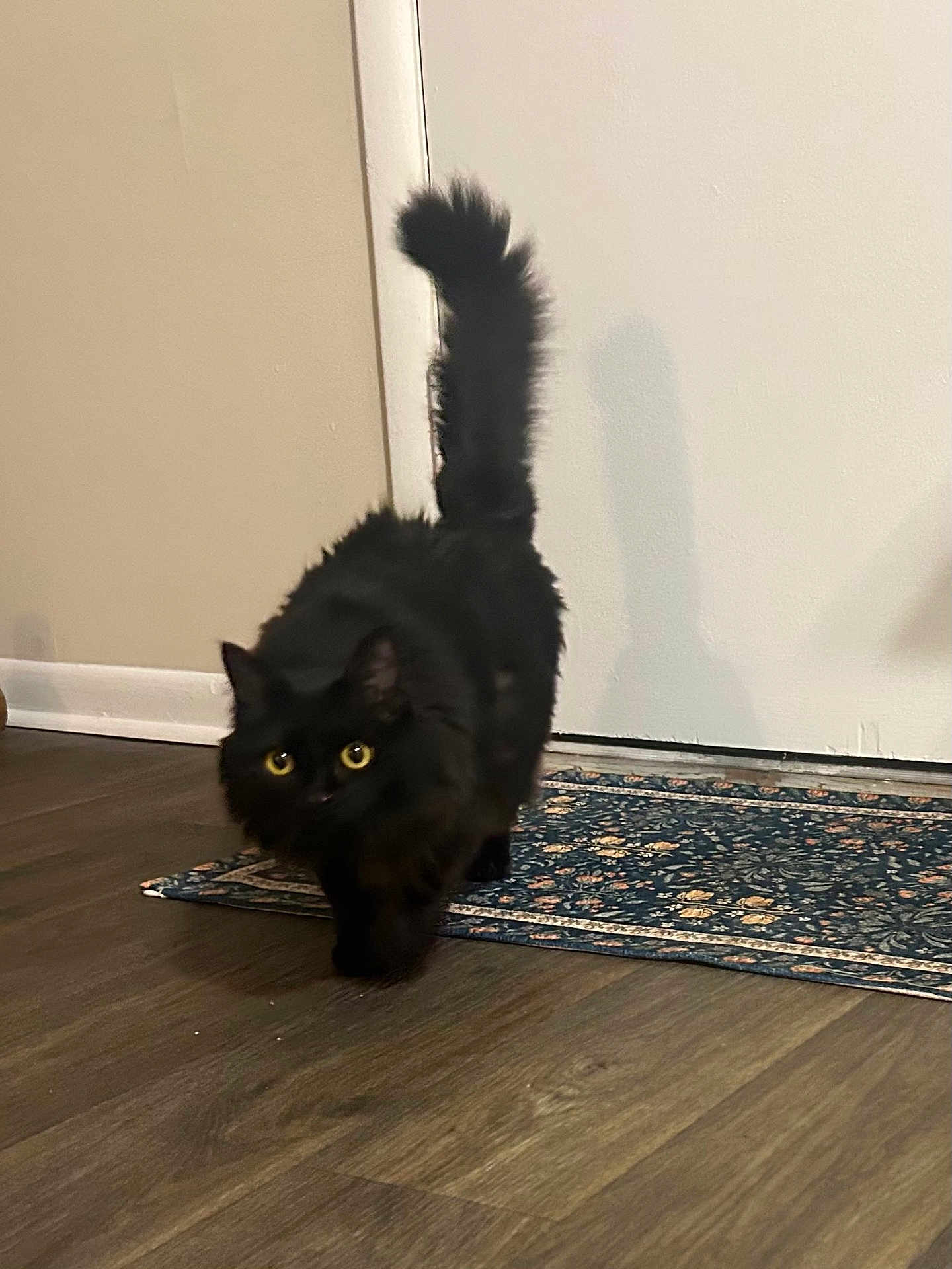 Lulu