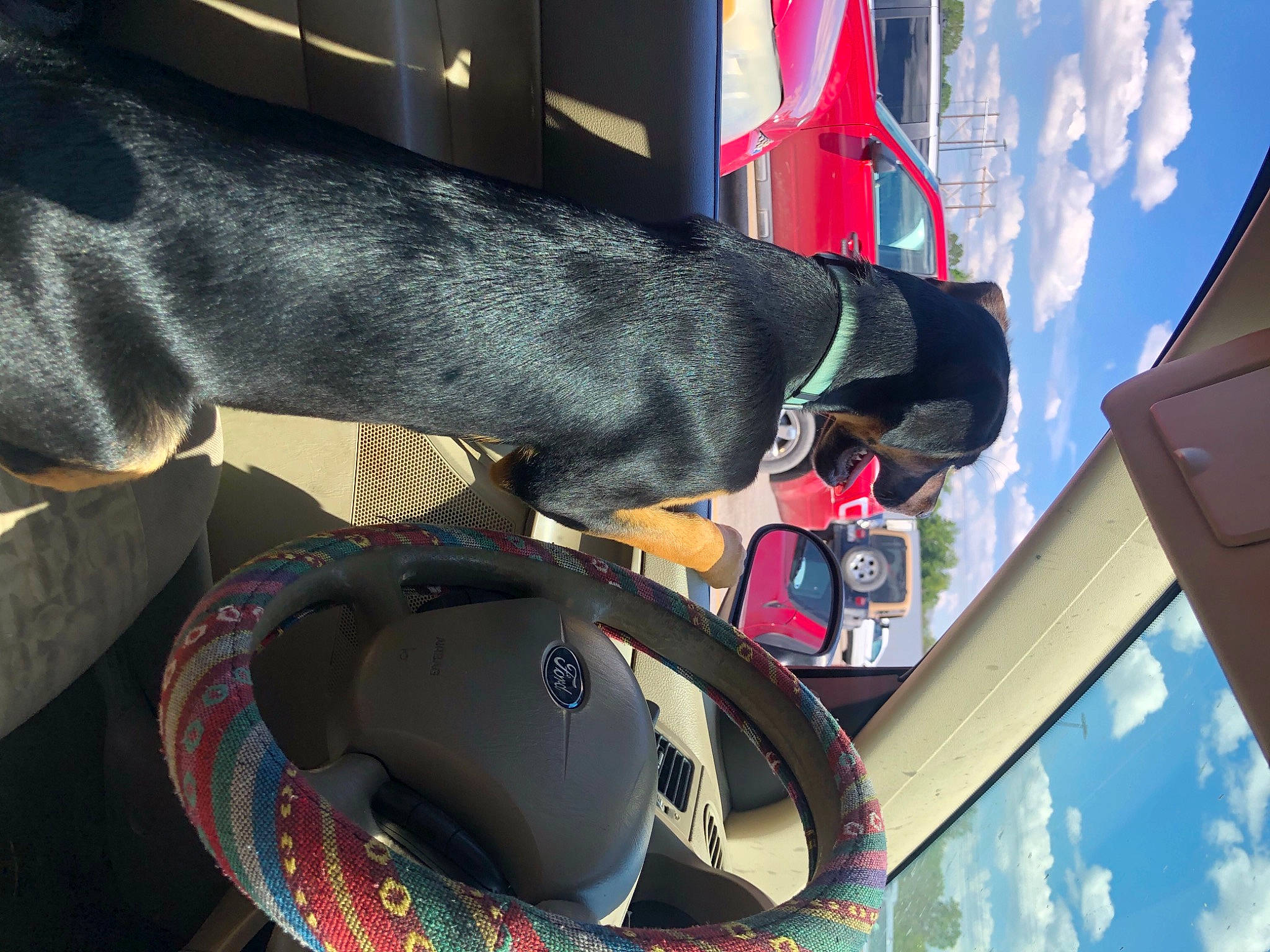 Stella is registered to the contest to win money with this photo: automotive_tire, blue, carnivore, cloud, collar, companion_dog, dog, dog_breed, dog_collar, fashion_accessory, fawn, hat, helmet, hood, pet_supply, sky, steering_wheel, vehicle, vehicle_door, working_animal