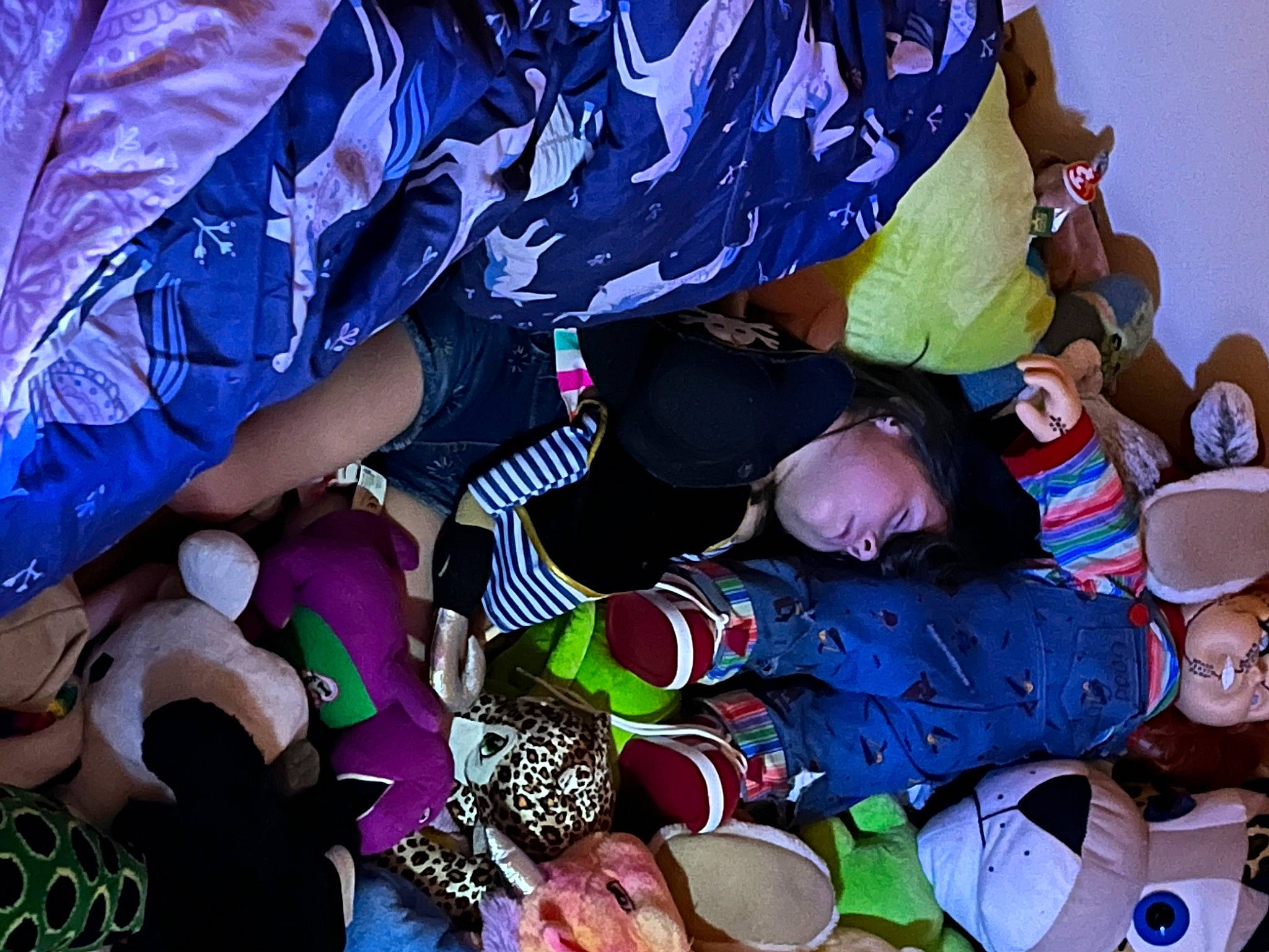 Danielle joined the competition — help win amazing prizes! child, electric_blue, event, fun, hat, pattern, person, purple, toddler, tradition, tree