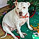 Casper