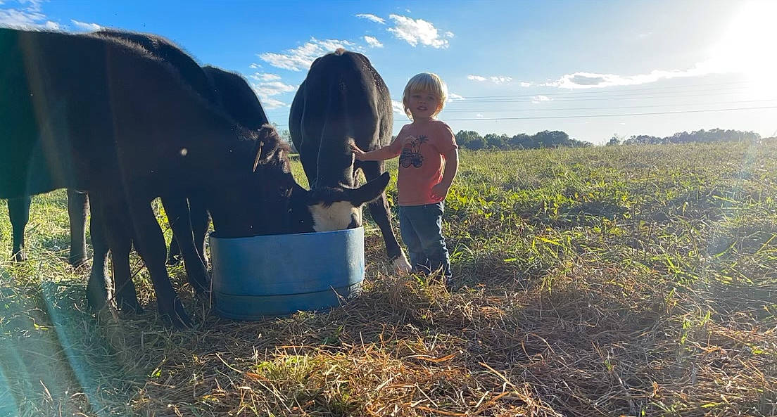 Grayson joined the competition — help win amazing prizes! adaptation, agriculture, cloud, dairy_cow, field, grass, grass_family, grassland, happy, landscape, leisure, meadow, people_in_nature, person, plant, prairie, rural_area, sky, sunlight, tree