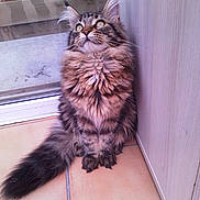 Zouzou participe au concours pour gagner de l'argent avec cette photo :