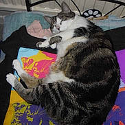 Dubart titeuf participe au concours pour gagner de l'argent avec cette photo :