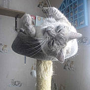 Dubart thia participe au concours pour gagner de l'argent avec cette photo :