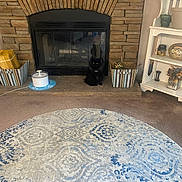 Spotty joined the competition — help win amazing prizes! animal, architecture, box, building, cat, coffeetable, fireplace, furniture, hearth, homedecor, indoors, interiordesign, livingroom, pet, plant, plate, room, rug, table, wood