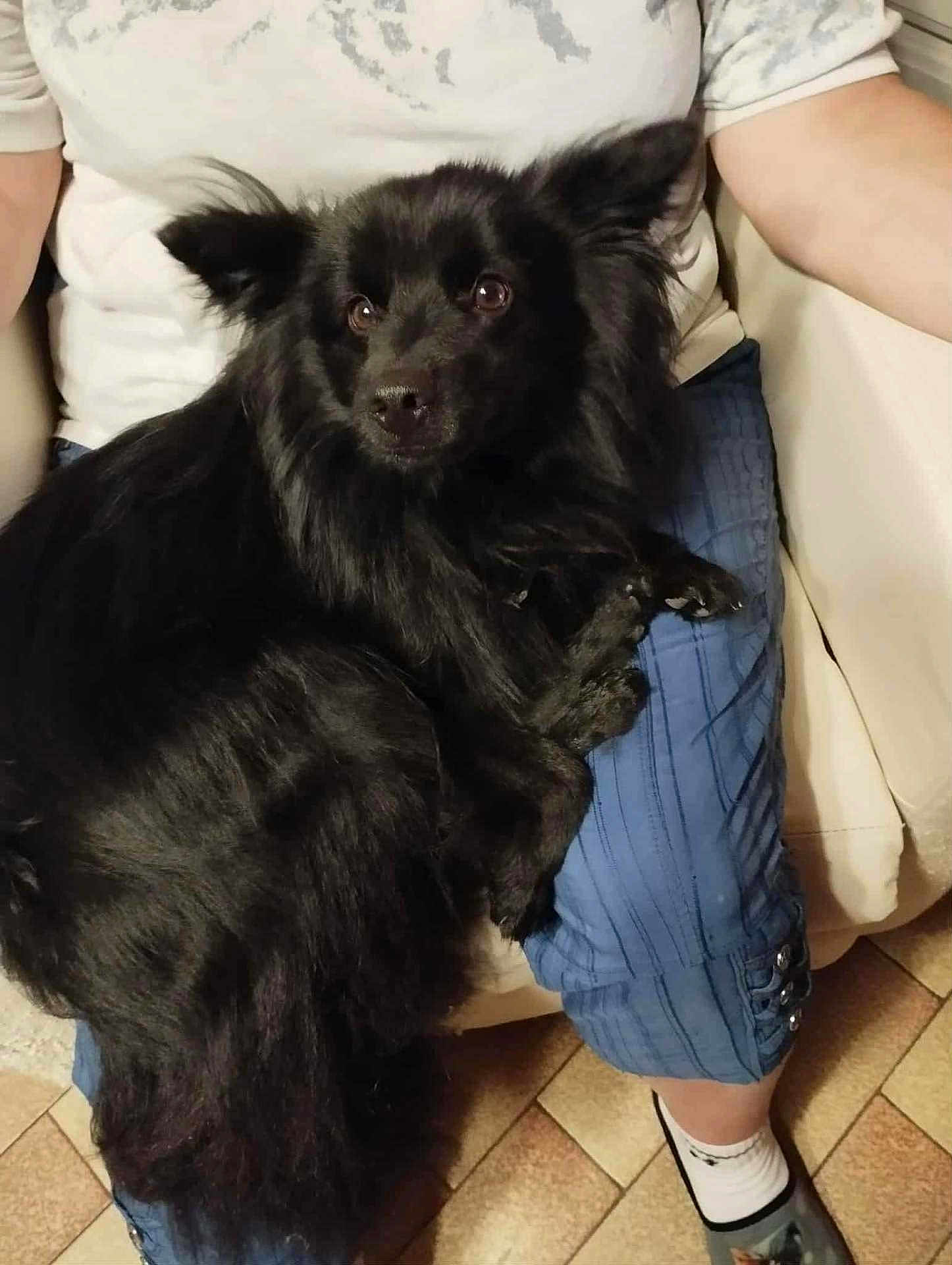 Pablo