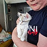 arm, blanket, blue_eyes, cat, couch, cozy, curiosity, cute, door, face, furniture, glasses, holding, home, indoor, kitten, person, pet, shirt, wall