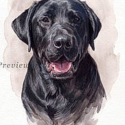 Gunnar joined the competition — help win amazing prizes! animal, art, background, black_dog, canine, dog, face, fur, happy, head, illustration, mouth_open, painting, pet, portrait, smiling, text_overlay, tongue, watercolor, watermark