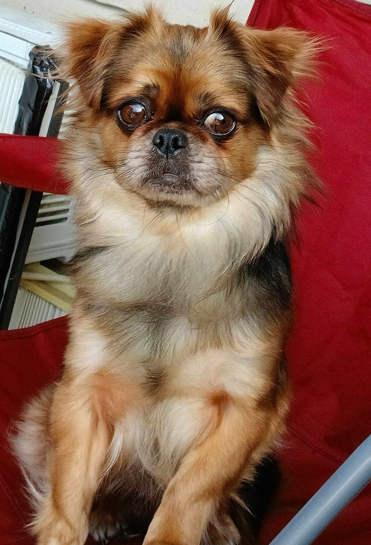 Milo