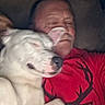 Stich is registered to the contest to win money with this photo: affection, animal, close_up, companion, couch, cozy, deer_design, dog, friendship, human, indoor, man, napping, pet, portrait, red_shirt, relaxed, sleeping, snuggling, white_dog