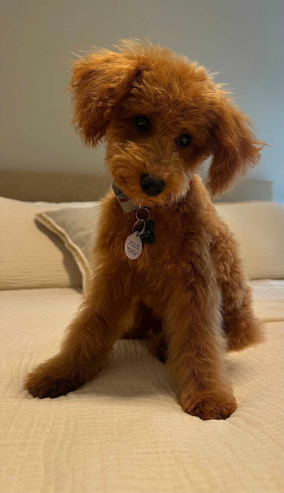 Wally