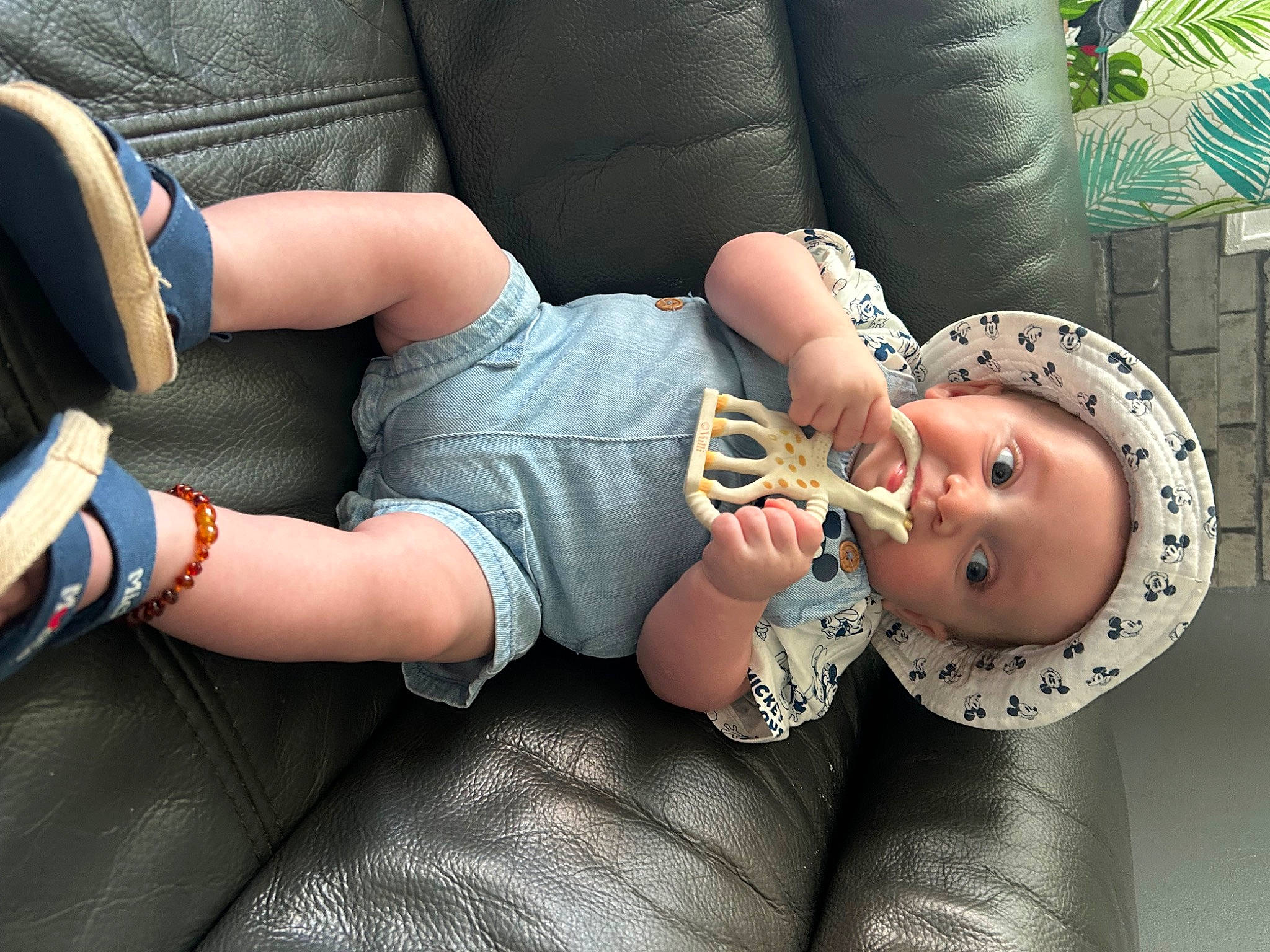 Milo a rejoint le concours — aidez-le/la à gagner de superbes lots ! baby, baby_toddler_clothing, child, comfort, cool, elbow, facial_expression, finger, grass, hand, human_body, human_leg, joint, knee, leg, mouth, person, sitting, skin, thigh