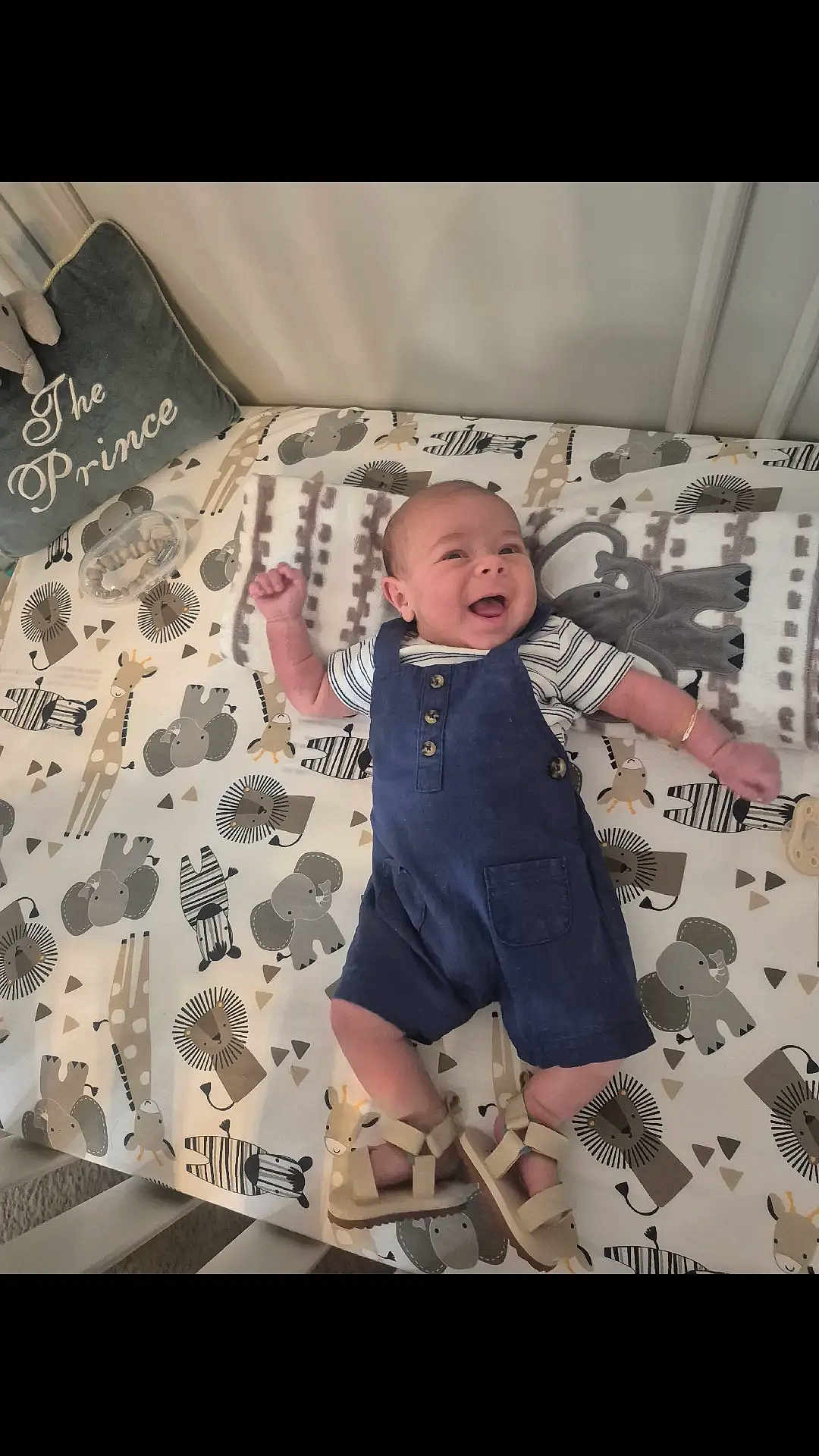 Dylan joined the competition — help win amazing prizes! baby, smiling, crib, overalls, sandals, animal_prints, pillow, blanket, elephant, giraffe, lion, zebra, toddler, infant, happy, indoor, bed, child, cute, clothing