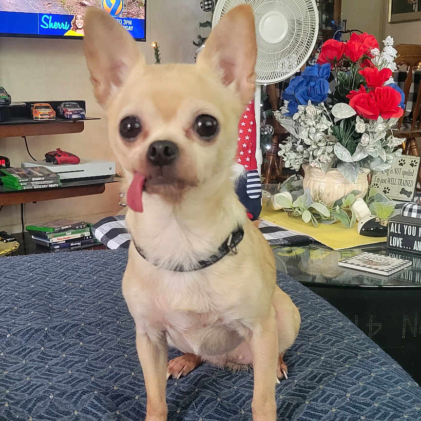 Chloe