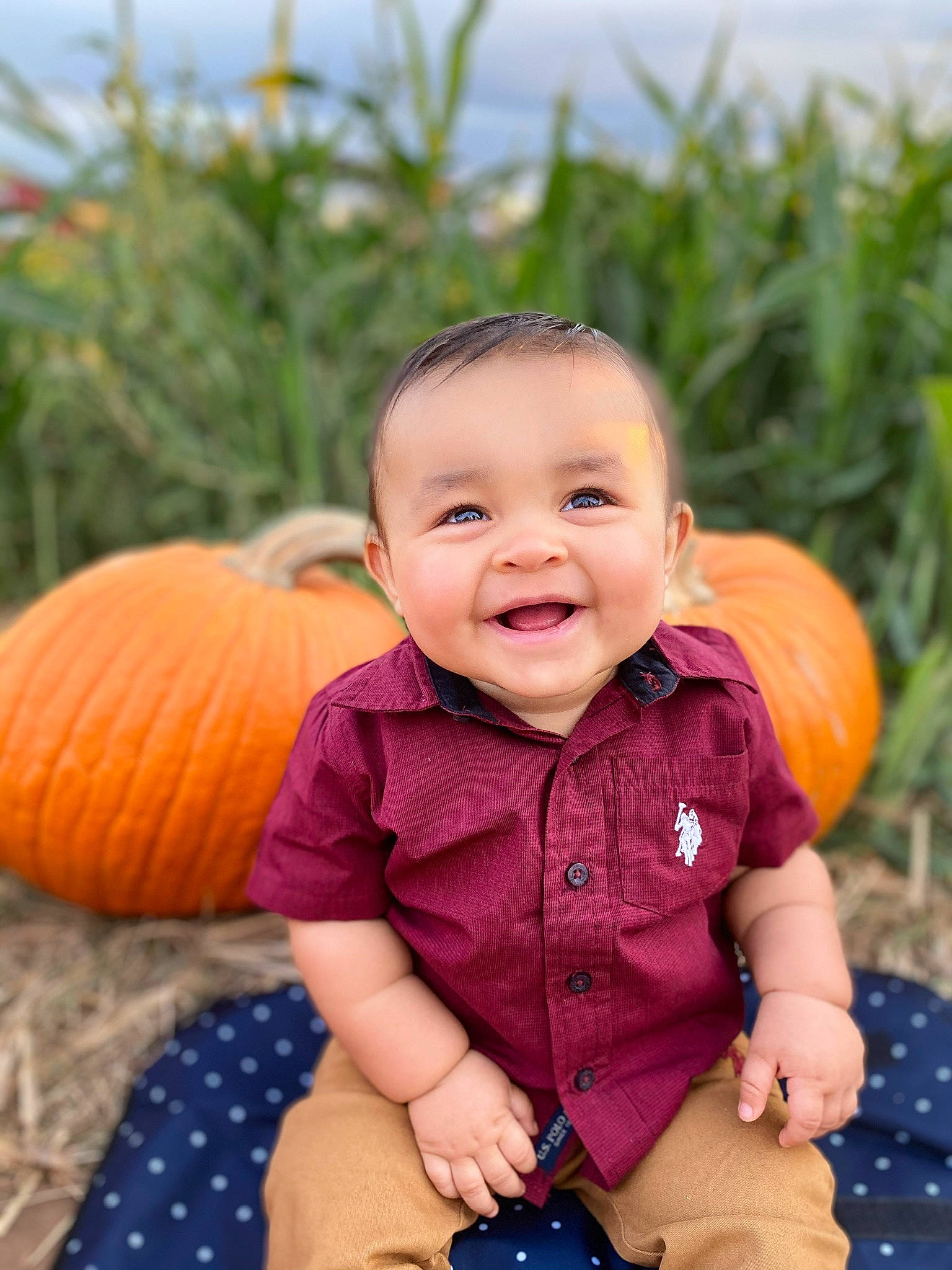 David is registered to the contest to win money with this photo: baby_toddler_clothing, calabaza, eye, face, facial_expression, finger, grass, happy, head, iris, joy, leisure, nose, orange, people_in_nature, person, plant, pumpkin, smile, standing