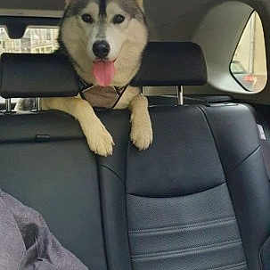 Saska