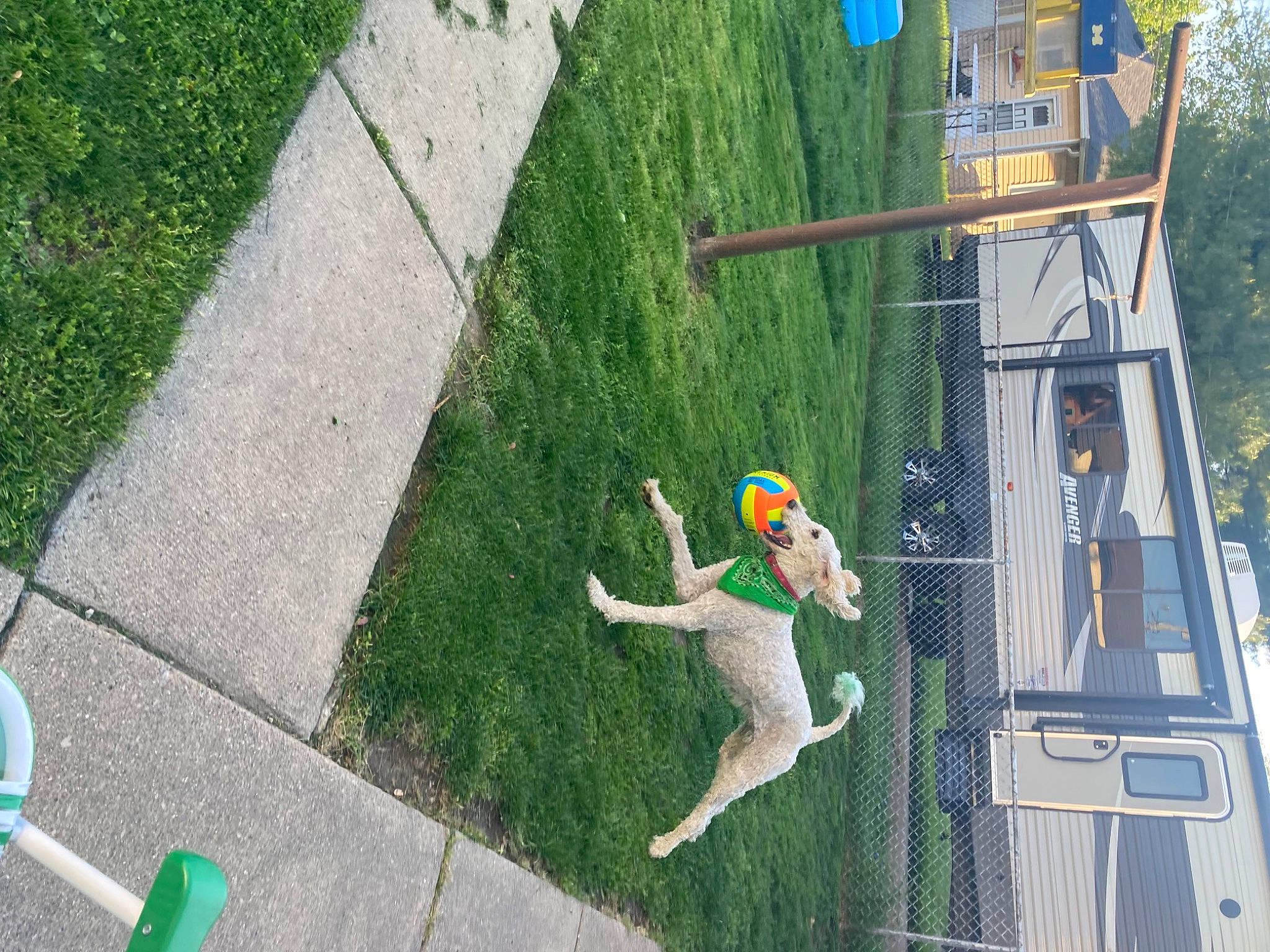 Wiley joined the competition — help win amazing prizes! adventure, art, asphalt, extreme_sport, fun, grass, green, landscape, landscaping, leisure, line, plant, pole, recreation, road, rope, shrub, sidewalk, tree, urban_design