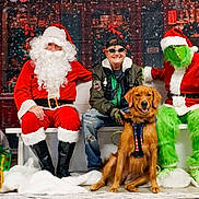 Ducky is registered to the contest to win money with this photo: bench, celebration, christmas_tree, costume, decorations, dog, festive, fur, glasses, golden_retriever, grinch, happy, hat, holiday, indoor, person, presents, santa_claus, smiling, snow