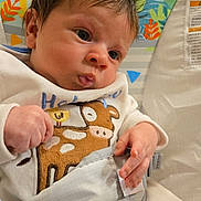 Kingston is registered to the contest to win money with this photo: baby, infant, face, hands, clothing, cow_design, baby_seat, animal_print, cute, portrait, close_up, child, soft_lighting, indoors, curious, pursed_lips, young_child, fabric, colorful, cozy