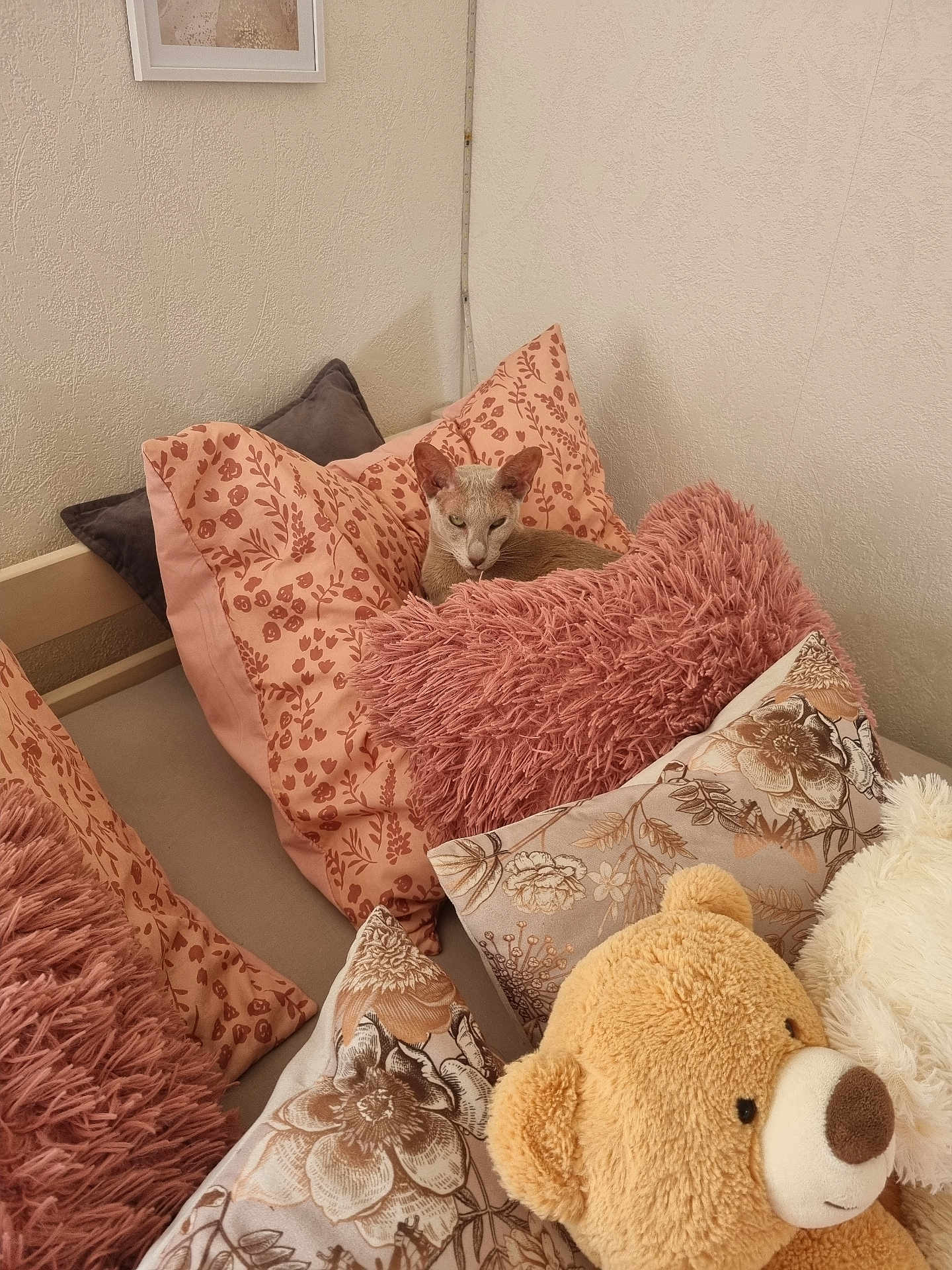 Praline participe au concours pour gagner de l'argent avec cette photo : cat, pillows, bed, teddy_bear, floral_pattern, pink, beige, cozy, indoor, feline, soft_texture, decor, resting, animal, cute, furniture, home, relaxed, stuffed_animal, wall