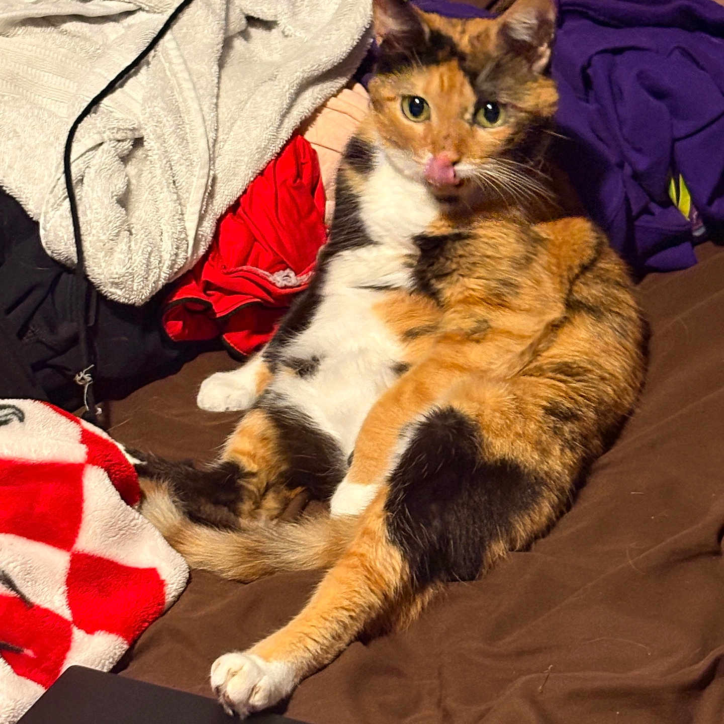 Nala