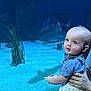 Braxton joined the competition — help win amazing prizes! baby, child, aquarium, shark, water, blue, fish, marine_life, tank, hand, person, curious, light, shadow, sand, plant, underwater, portrait, indoor, clothing