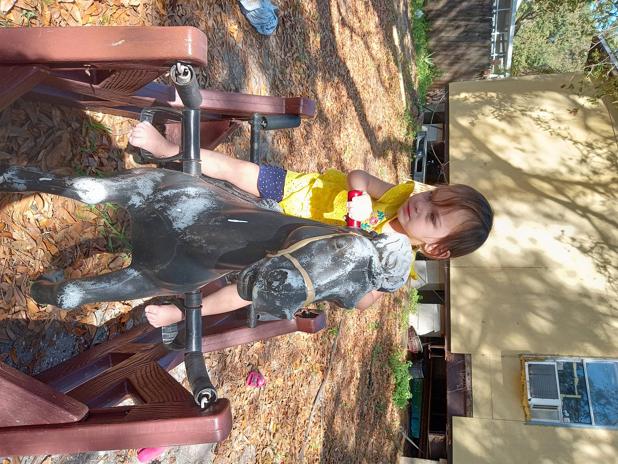 Juniper joined the competition — help win amazing prizes! costume, fun, fur, leisure, person, tradition, tree, wood