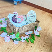 Genesis joined the competition — help win amazing prizes! newborn, baby, basket, flower, headband, wooden_floor, sign, sleeping, blanket, pink, green_leaves, indoor, cute, peaceful, portrait, decorative, soft, infant, resting, birth_announcement