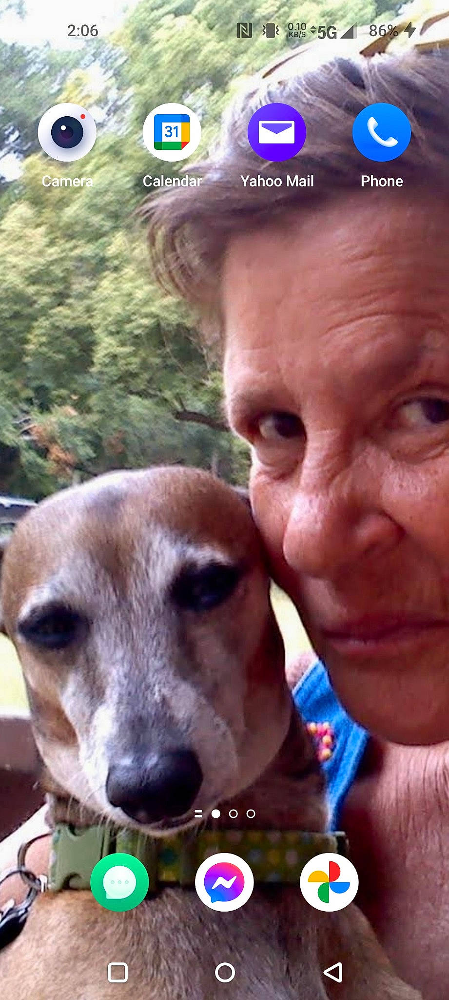 Pumkin is registered to the contest to win money with this photo: adventure, canidae, cap, carnivore, companion_dog, dog, dog_breed, ear, eyewear, fawn, happy, hat, jaw, nose, recreation, selfie, sporting_group, tree, whiskers, wrinkle