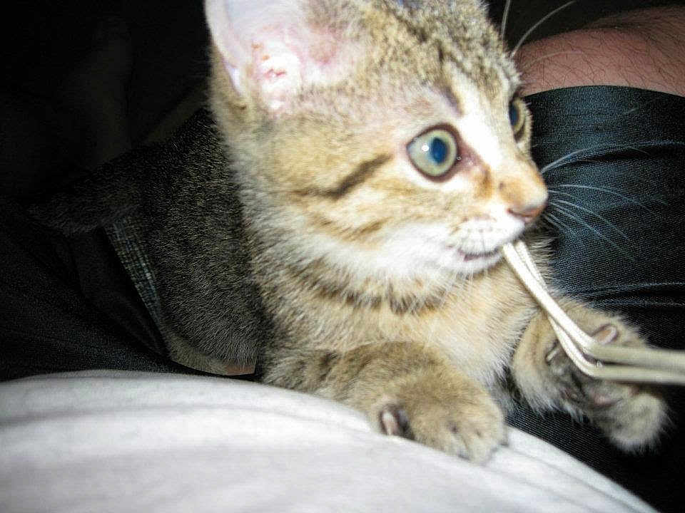 Molly