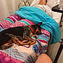 Blue is registered to the contest to win money with this photo: bed, blanket, dog, person, hospital_bed, pajamas, resting, indoor, comfort, animal, companion, floor, leg, table, medical, relaxing, sleeping_dog, colorful, human, quiet